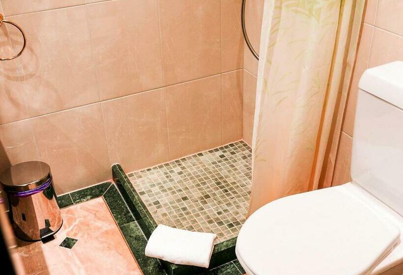 اتاق استاندارد با چشم‌انداز کوهستان, Hillsite Smart Hotel Flims