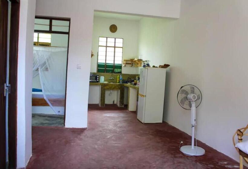 آپارتمان 1 خوابه با تراس, Pamoja Beach Stays Hotel In Jambiani