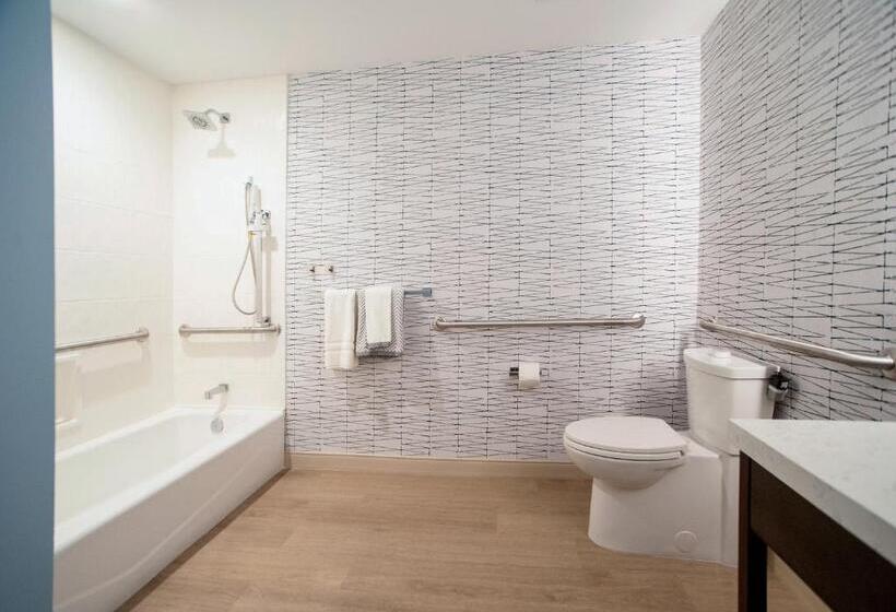 اتاق استاندارد با تخت بزرگ برای معلولان, Cambria Hotel Austin Downtown
