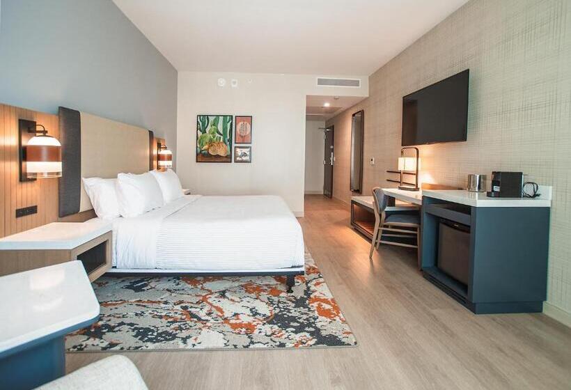 اتاق استاندارد با تخت بزرگ برای معلولان, Cambria Hotel Austin Downtown