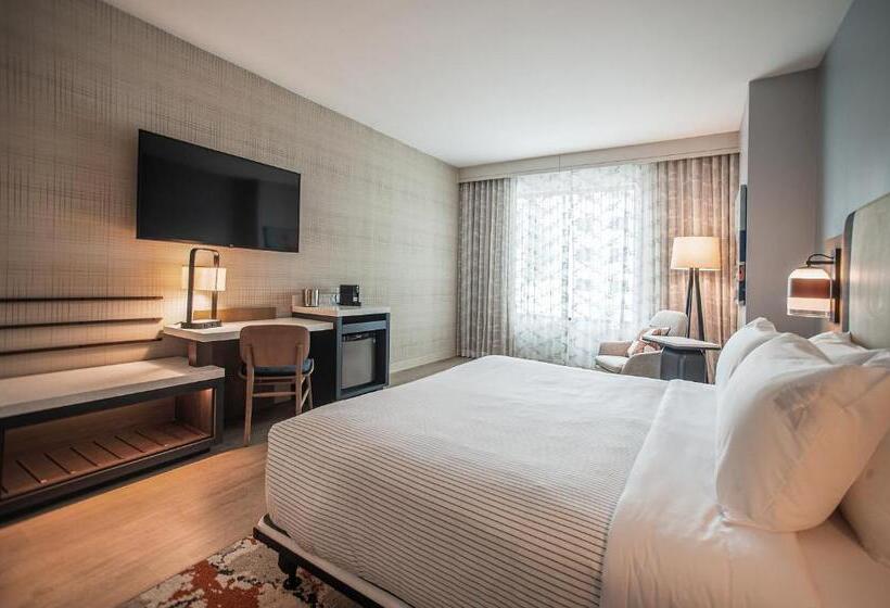 اتاق استاندارد با تخت بزرگ برای معلولان, Cambria Hotel Austin Downtown