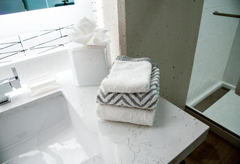 اتاق استاندارد با تخت بزرگ, Cambria Hotel Austin Downtown