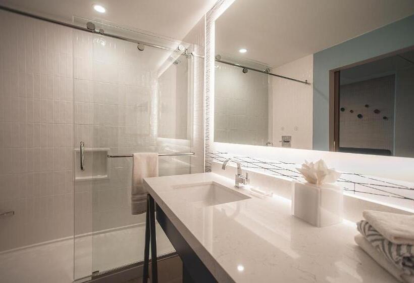 اتاق استاندارد با تخت بزرگ, Cambria Hotel Austin Downtown