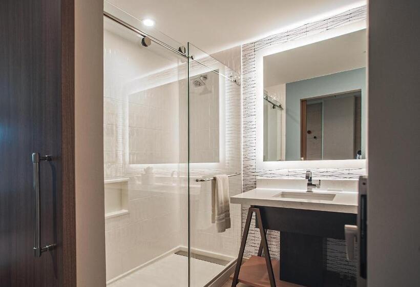 اتاق استاندارد با تخت بزرگ, Cambria Hotel Austin Downtown