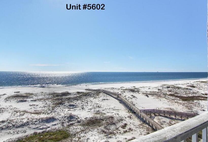 استودیوی استاندارد با چشم‌انداز دریا, Gulf Shores Plantation Condos