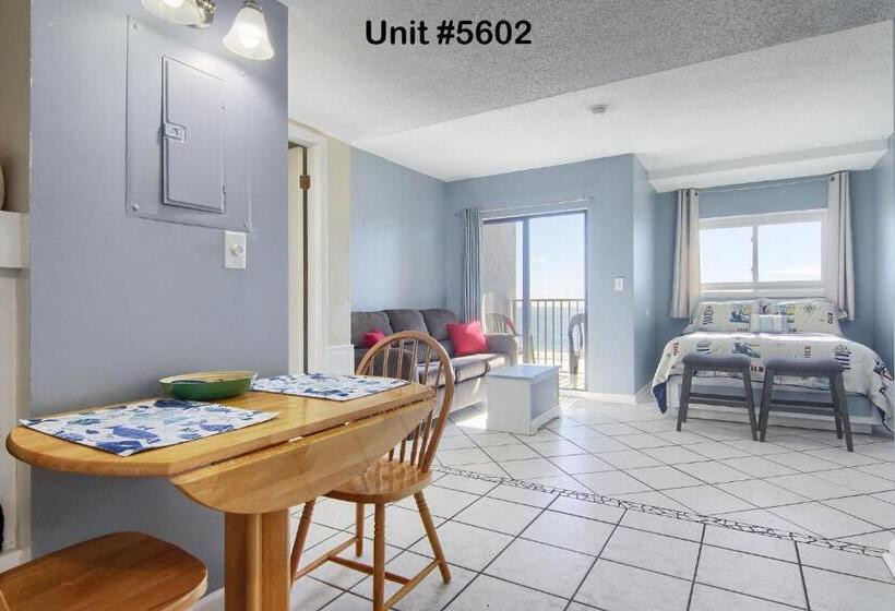 استودیوی استاندارد با چشم‌انداز دریا, Gulf Shores Plantation Condos