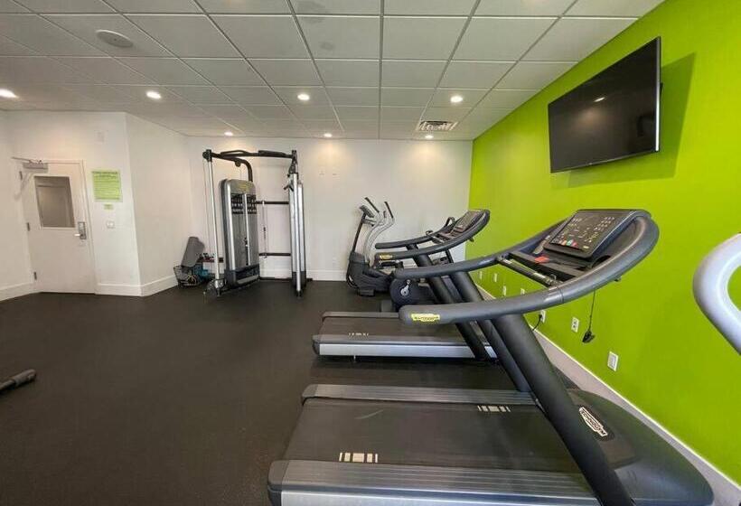 استودیوی استاندارد, Newly Renovated Room In Cozy Hotel Near Disney 2