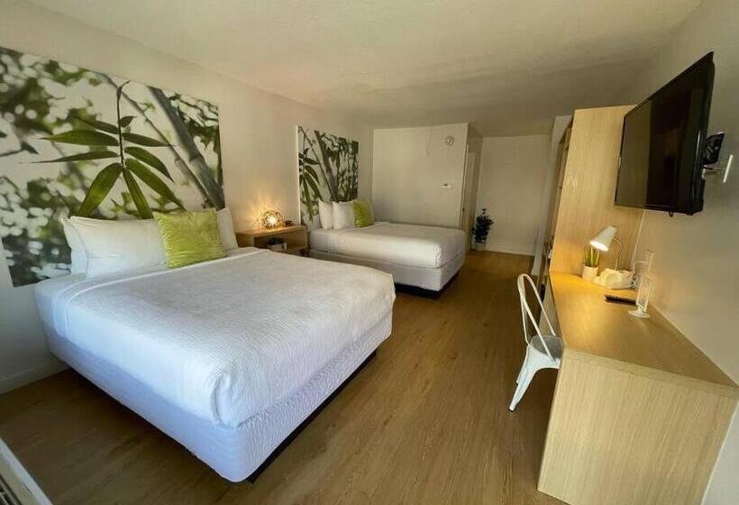 استودیوی استاندارد, Newly Renovated Room In Cozy Hotel Near Disney 2