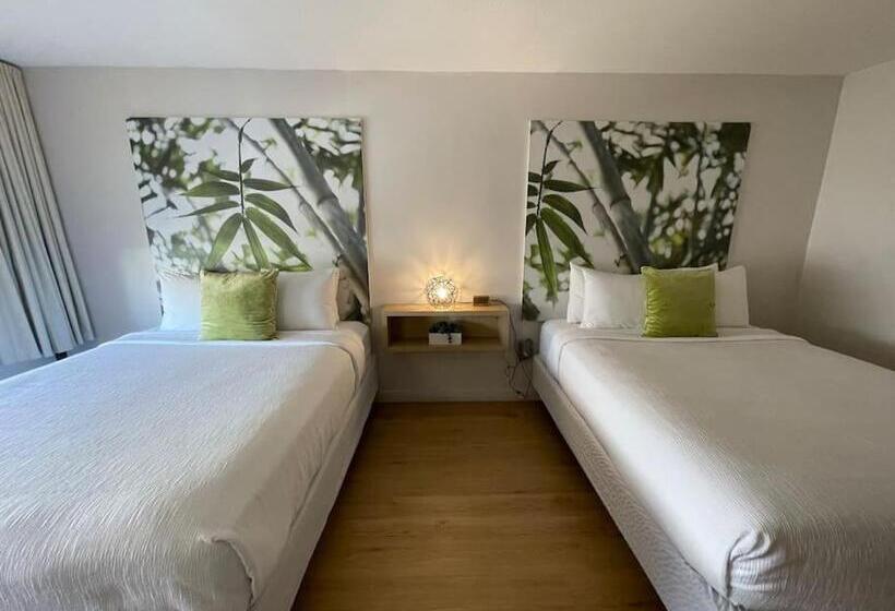 استودیوی استاندارد, Newly Renovated Room In Cozy Hotel Near Disney 2