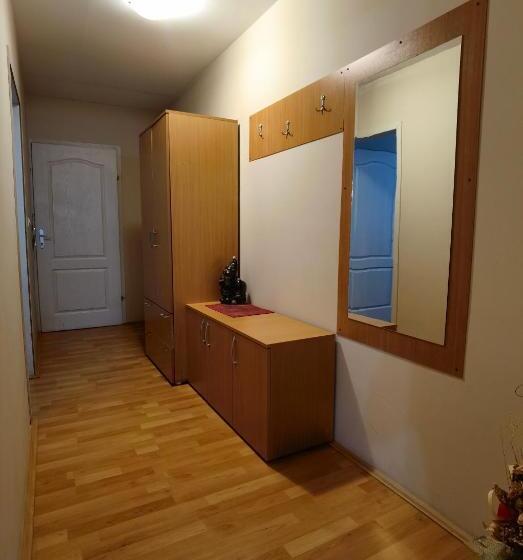 آپارتمان 1 خوابه با بالکن, Apartmani Radivojević
