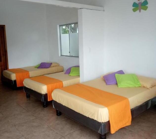 سوییت خانوادگی, Olimpia Habitaciones Departamentos