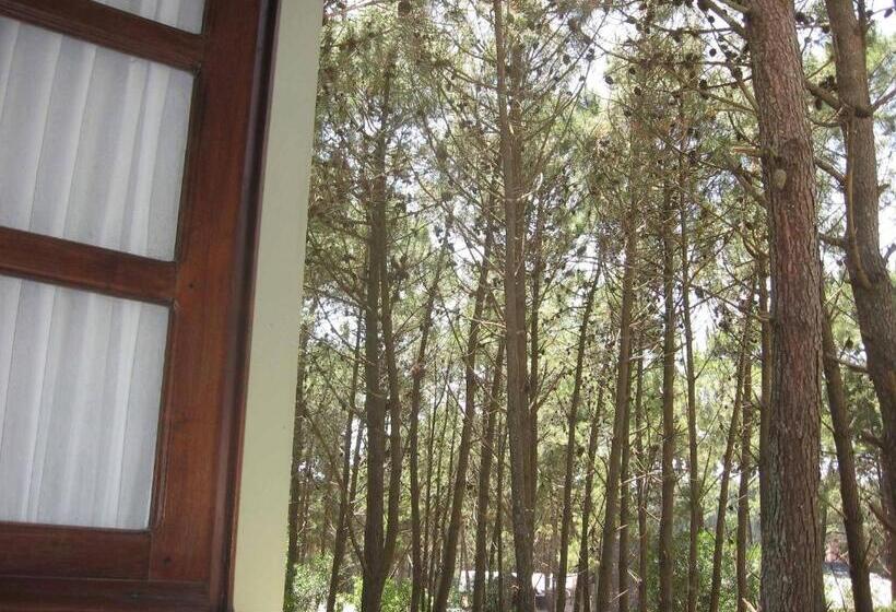 اتاق راحتی سه تخته, Posada La Casona
