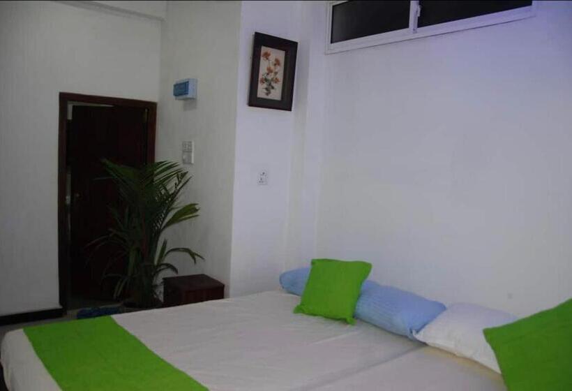 اتاق استاندارد, Surf Lodge