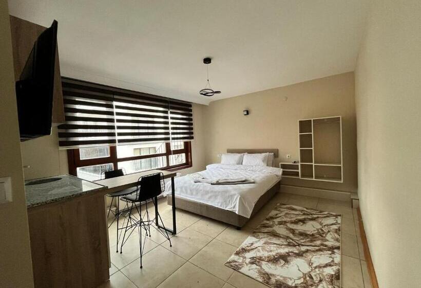 اتاق استاندارد, Brown
