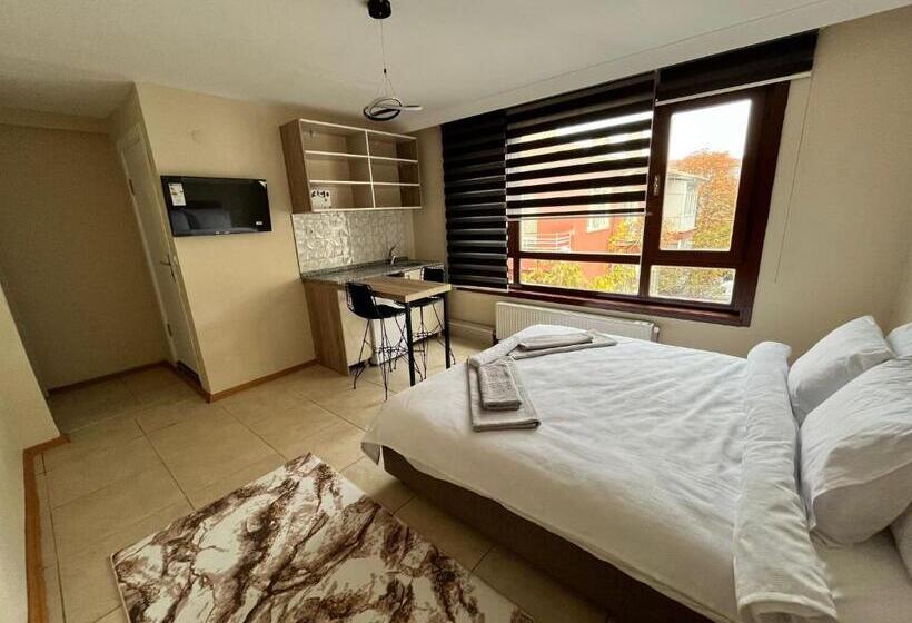 اتاق استاندارد, Brown