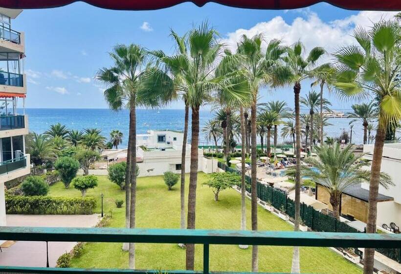 استودیوی استاندارد, Comodoro  Ravel