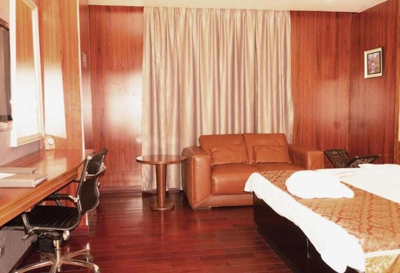 اتاق سوپریور با تخت بزرگ, Airport Goldentulip