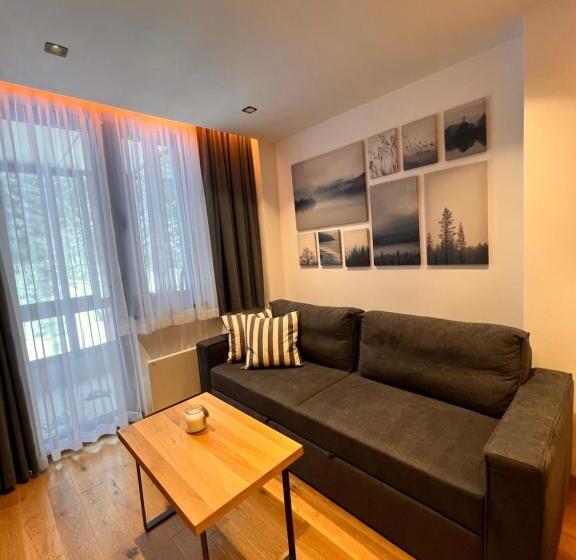 آپارتمان 1 خوابه, Apartment 202   Aparthotel Zlatni Javor