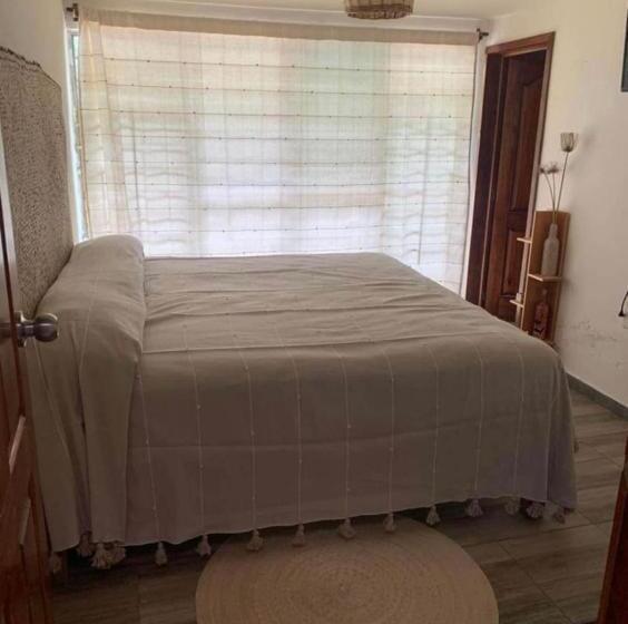اتاق استاندارد, Casa Grey