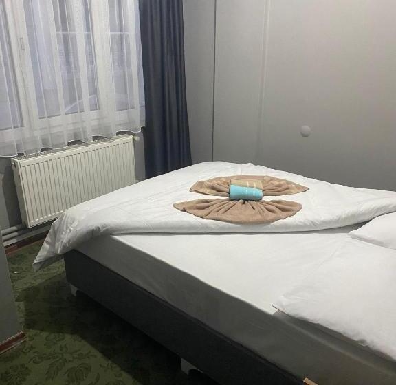 اتاق استاندارد, Samsun Otel Vidinli