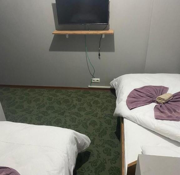 اتاق استاندارد, Samsun Otel Vidinli