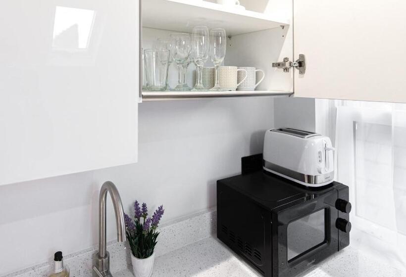 آپارتمان 1 خوابه, Ealing Residency