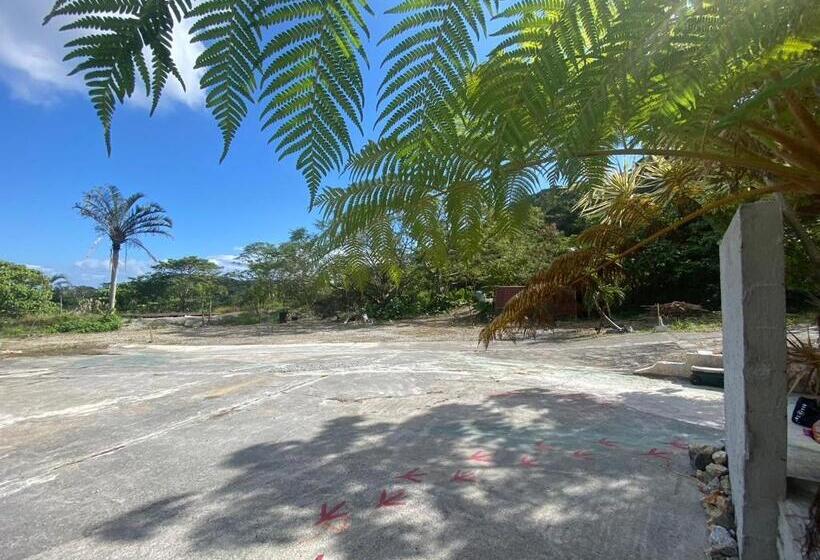 تختخواب در اتاق مشترک, This Is Okinawa