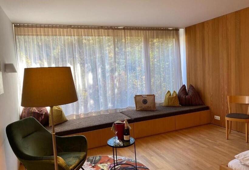 آپارتمان 2 خوابه, Bio Hotel Saladina