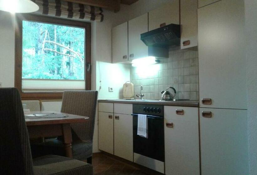 آپارتمان 1 خوابه, Gästehaus Sissy