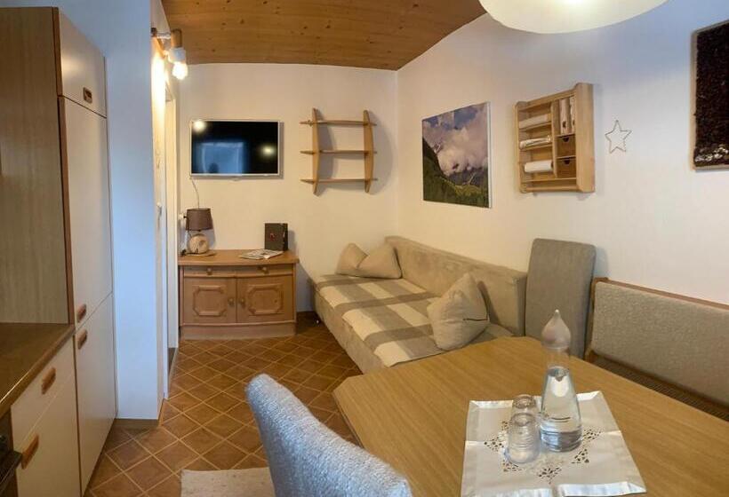 آپارتمان 1 خوابه, Gästehaus Sissy