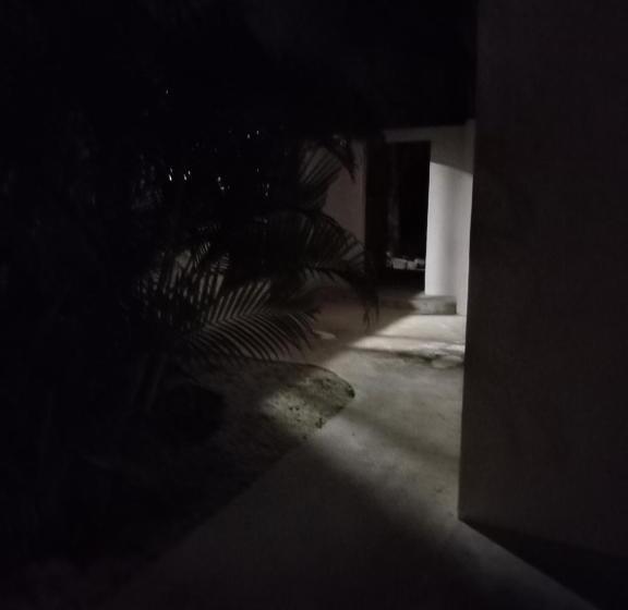 اتاق لوکس, Ahal
