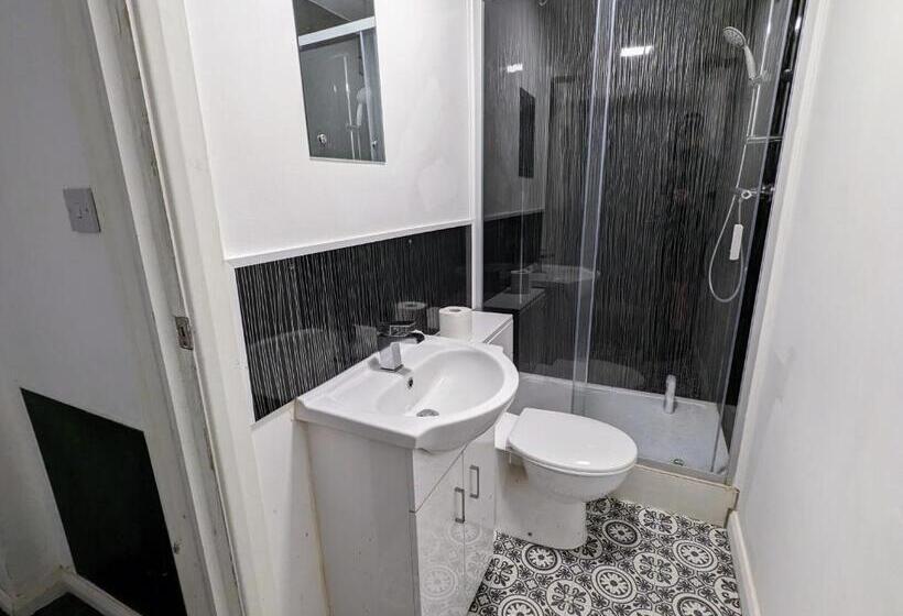 اتاق استاندارد, Anson S Haven