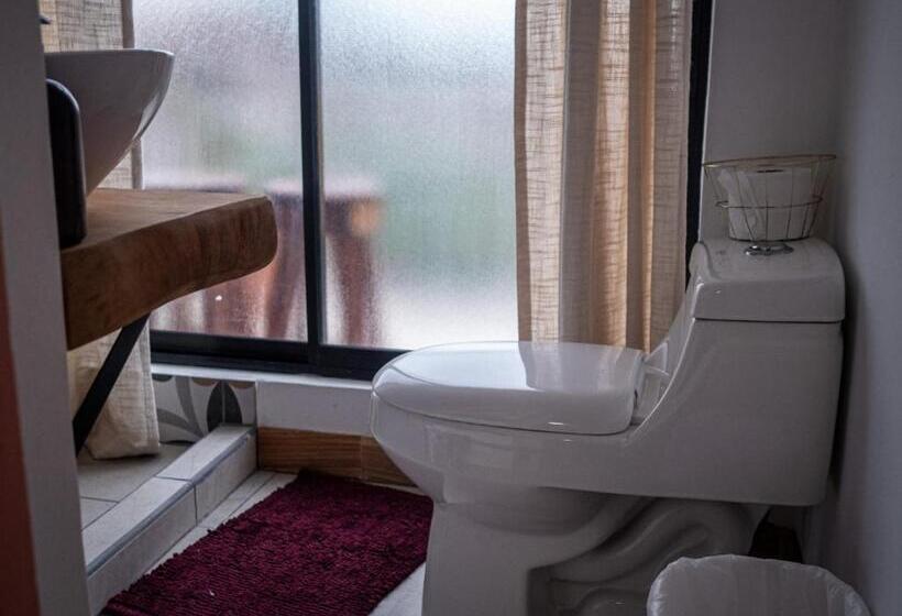 اتاق لوکس, Lolas Hostal Apartamento Equipado