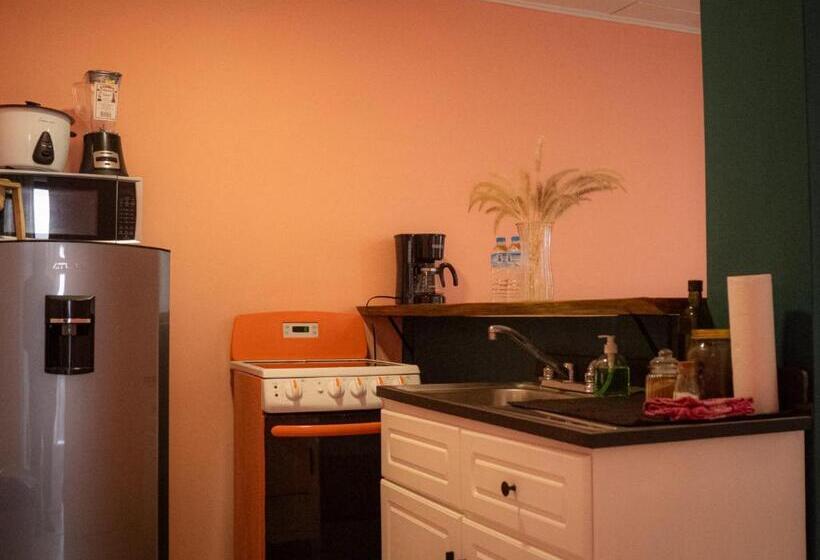 اتاق لوکس, Lolas Hostal Apartamento Equipado