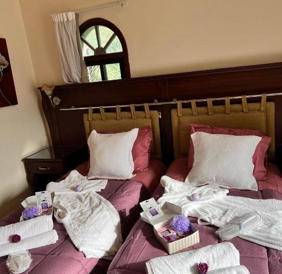 اتاق استاندارد یک تخته با سرویس بهداشتی مشترک, Elysium Cyprus Retreat