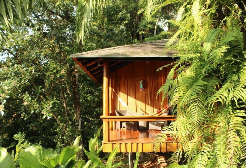 带1个卧室的别墅, Natural Drake Bay Hotel Boutique