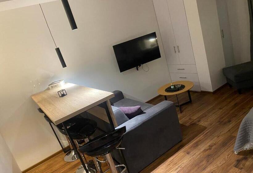استودیو استاندارد با چشم‌انداز, Apartmani Aj   A11 & A12 Kopaonik Aris Resort