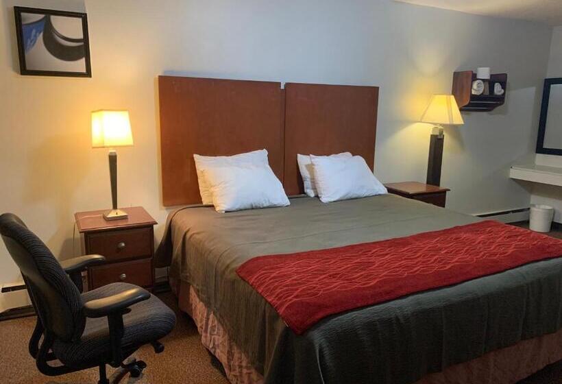 اتاق استاندارد با تخت بزرگ, Franklin Motel