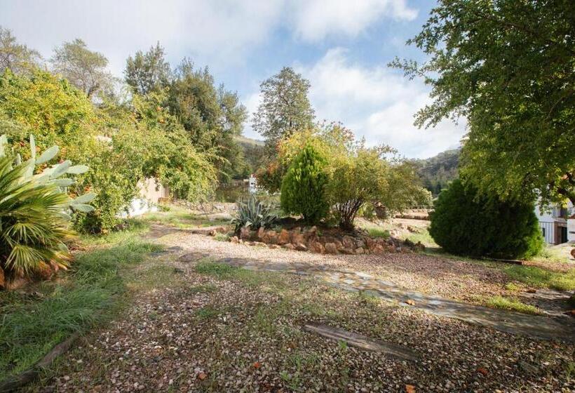 اتاق خانوادگی, Alojamiento El Monasterio