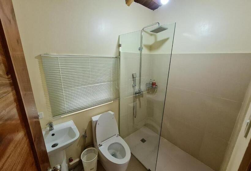标准房带园景, Standard Room With Swimming Pool Access
