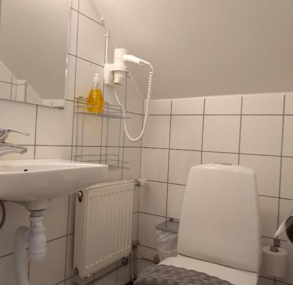 اتاق استاندارد, Slite Badhotell