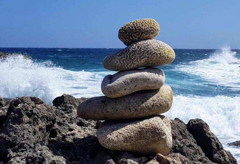 استودیوی لوکس, First Day Hotel On Aruba!