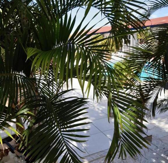 اتاق خانوادگی, First Day Hotel On Aruba!