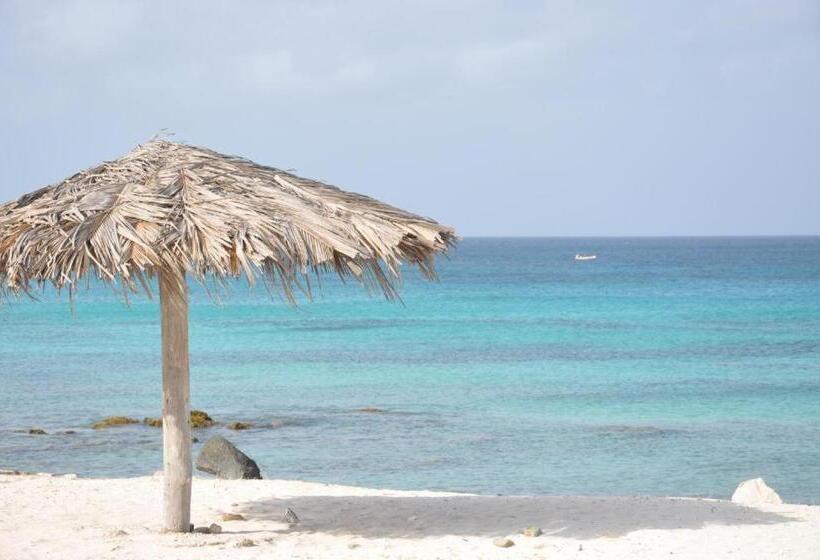 اتاق خانوادگی, First Day Hotel On Aruba!