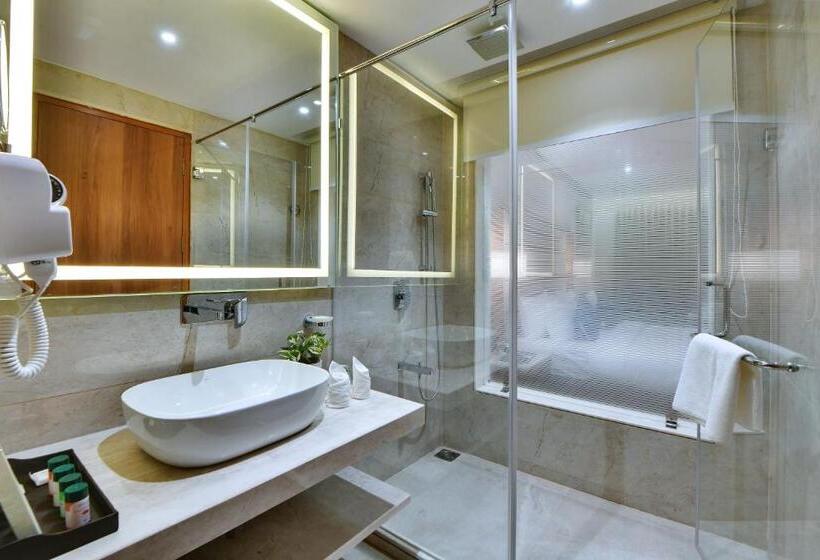 اتاق استاندارد, The Fern Residency Ajmer