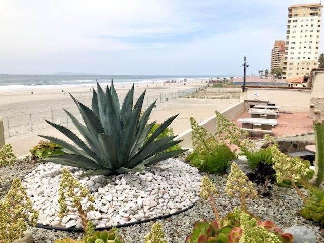 آپارتمان 1 خوابه با چشم‌انداز دریا, Oceana Casa Del Mar