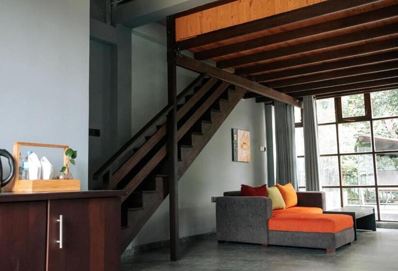 اتاق لوکس خانوادگی, Amanzi Residence
