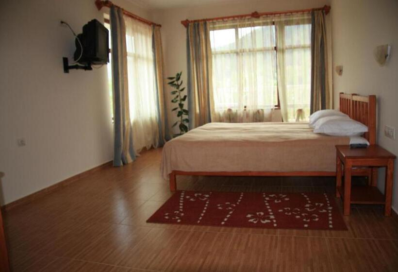 اتاق کلاسیک سه تخته, хотел стиляна/hotel Stilyana