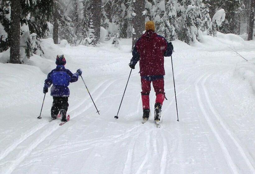آپارتمان 1 خوابه, Cozy Ski Chalet   Only 120 Yds To Lift! King Bed