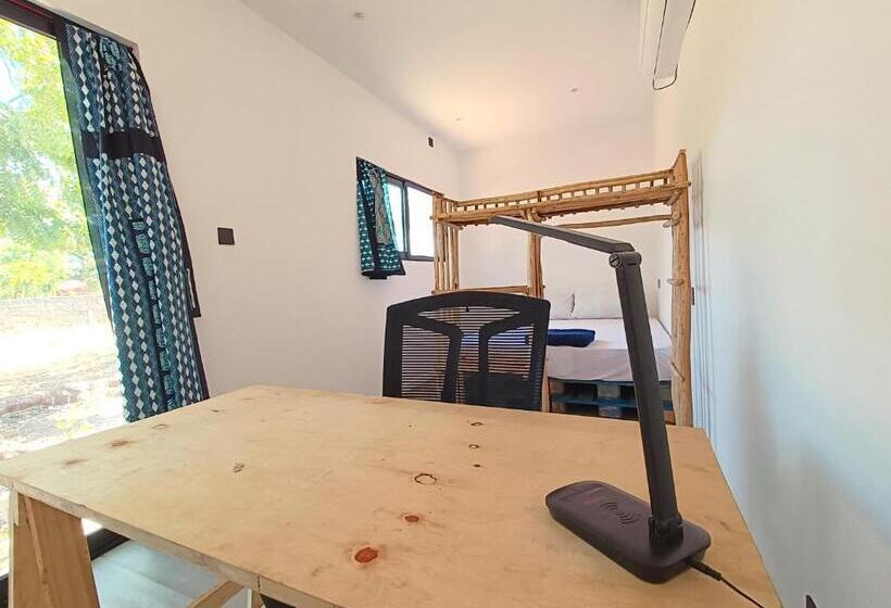 استودیوی استاندارد, Skippers   Adults Only